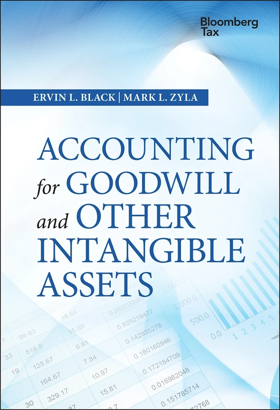 Accounting for Goodwill and Other Intangible Assets (Wiley Corporate F&A)