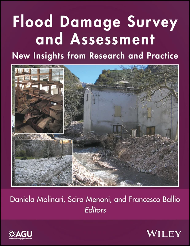 Flood Damage Survey and Assessment: New Insights from Research and Practice: 228 (Geophysical Monograph Series)