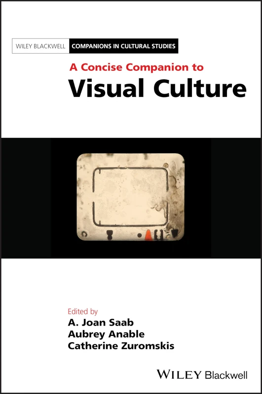 A Concise Companion to Visual Culture (Blackwell Companions in Cultural Studies)