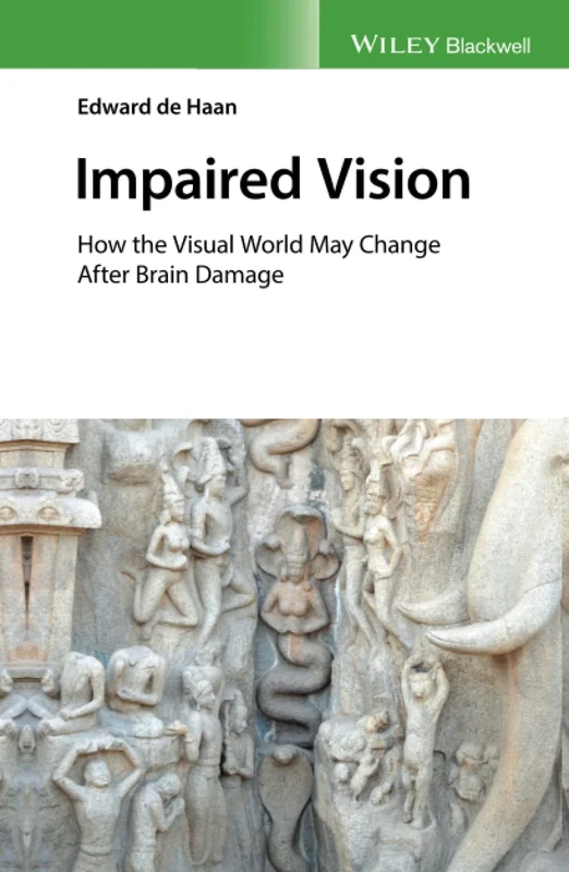 Impaired Vision: How the Visual World May Change after Brain Damage