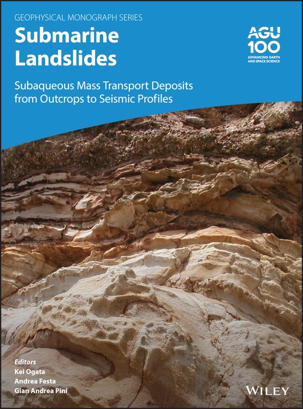 Submarine Landslides - American Geophysical Union Book 247