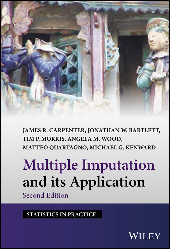 Multiple Imputation and its Application (Statistics in Practice)