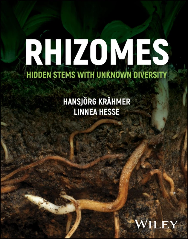 Wiley - Rhizomes: Hidden Stems with Unknown Diversity - Image 1