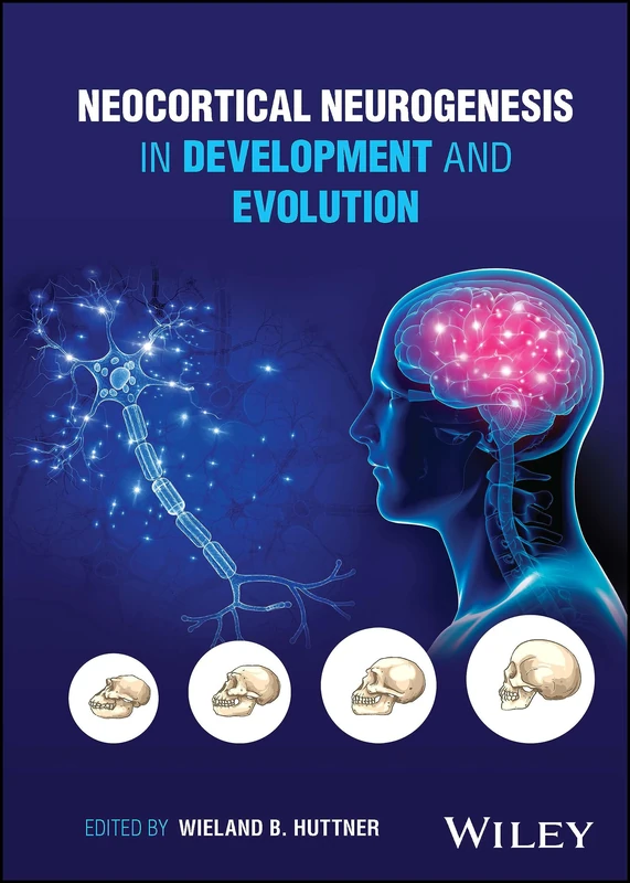 Wiley Neocortical Neurogenesis in Development and Evolution