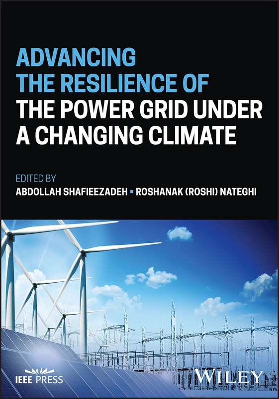 Advancing the Resilience of the Power Grid under a Changing Climate