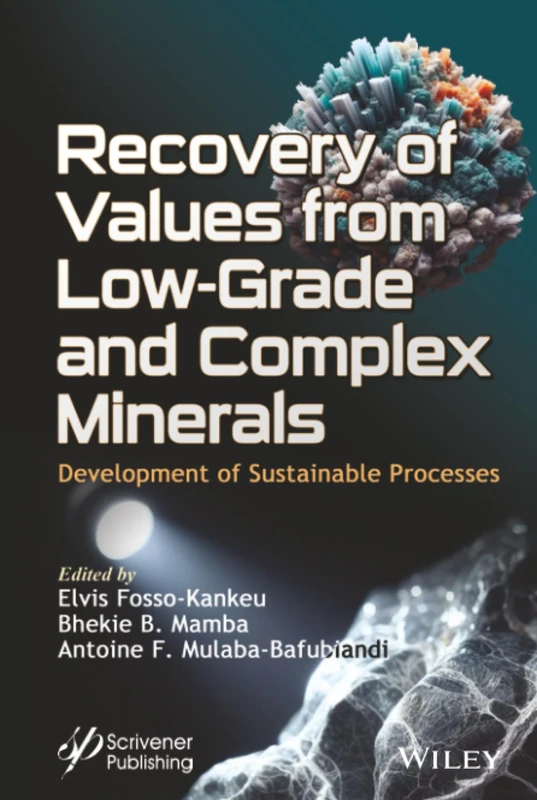 Recovery of Values from Low-Grade and Complex Minerals: Development of Sustainable Processes