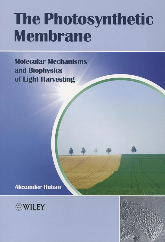 The Photosynthetic Membrane: Molecular Mechanisms and Biophysics of Light Harvesting