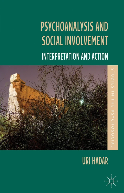 Psychoanalysis and Social Involvement: Interpretation and Action (Studies in the Psychosocial)