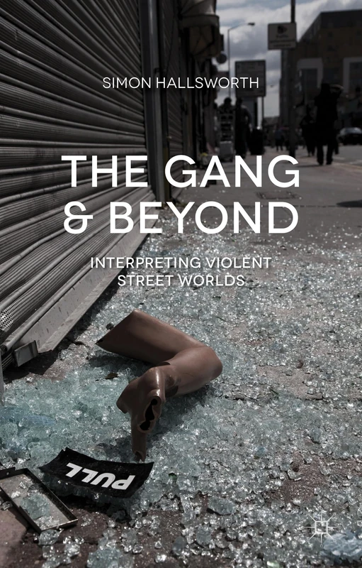 The Gang and Beyond: Interpreting Violent Street Worlds - Image 1