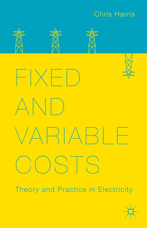 Fixed and Variable Costs: Theory and Practice in Electricity
