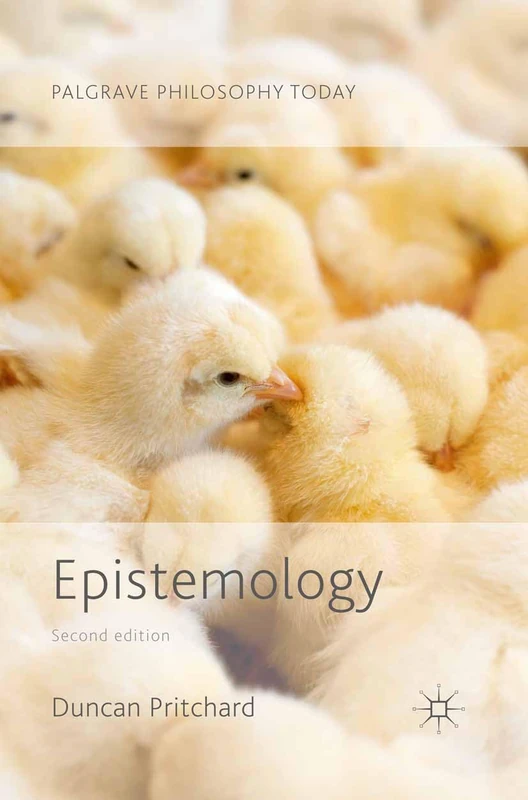 Epistemology (Palgrave Philosophy Today)