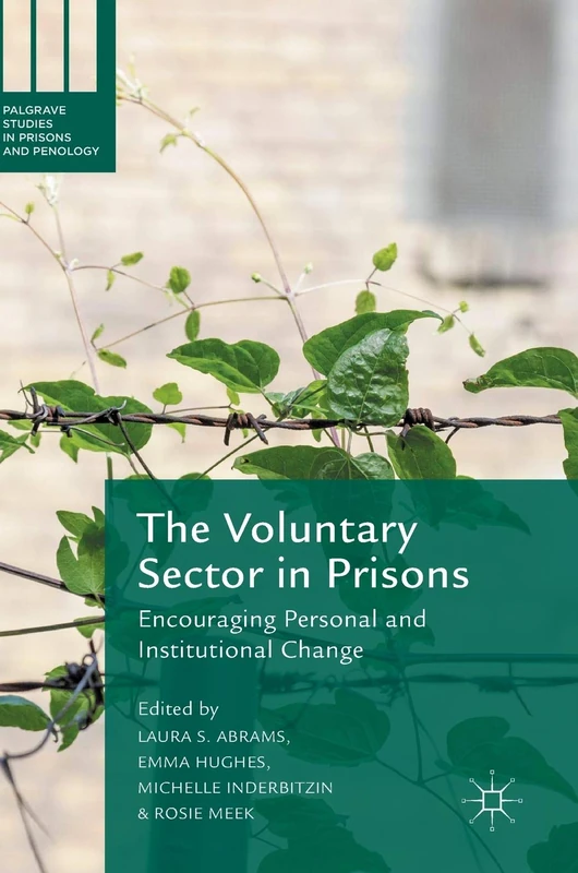 The Voluntary Sector in Prisons: Encouraging Personal and Institutional Change (Palgrave Studies in Prisons and Penology)
