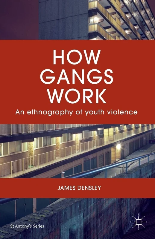 How Gangs Work: An Ethnography of Youth Violence (St Antony's Series)