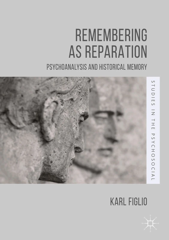 Remembering as Reparation: Psychoanalysis and Historical Memory (Studies in the Psychosocial)