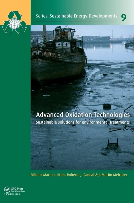 Advanced Oxidation Technologies: Sustainable Solutions for Environmental Treatments: 9 (Sustainable Energy Developments)
