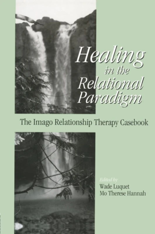 Healing in the Relational Paradigm: The Imago Relationship Therapy Casebook