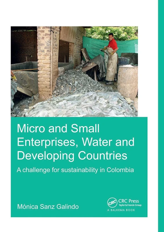 Micro and Small Enterprises, Water and Developing Countries: A Challenge for Sustainability in Colombia (IHE Delft PhD Thesis Series)