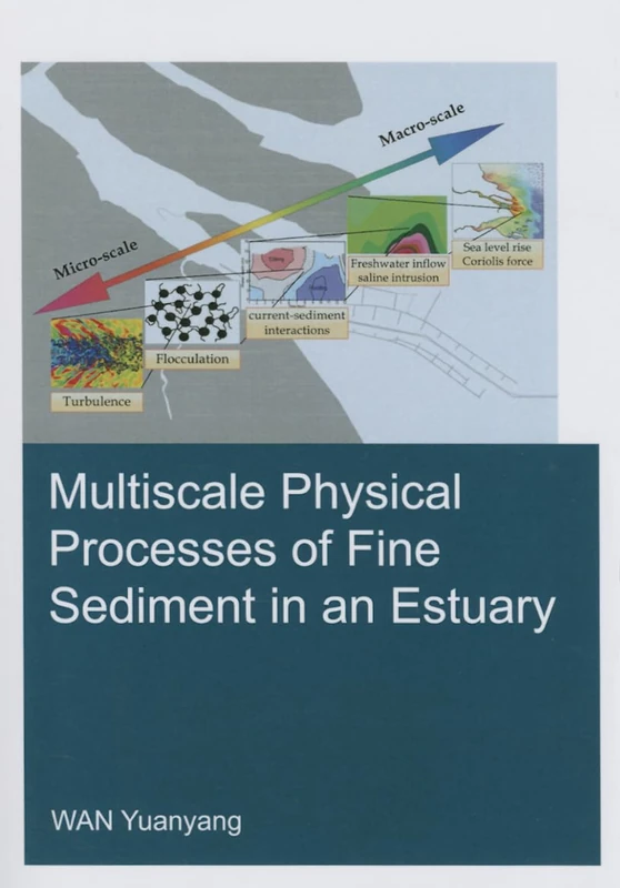 Multiscale Physical Processes of Fine Sediment in an Estuary (IHE Delft PhD Thesis Series)