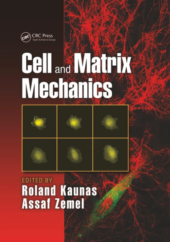 Cell and Matrix Mechanics