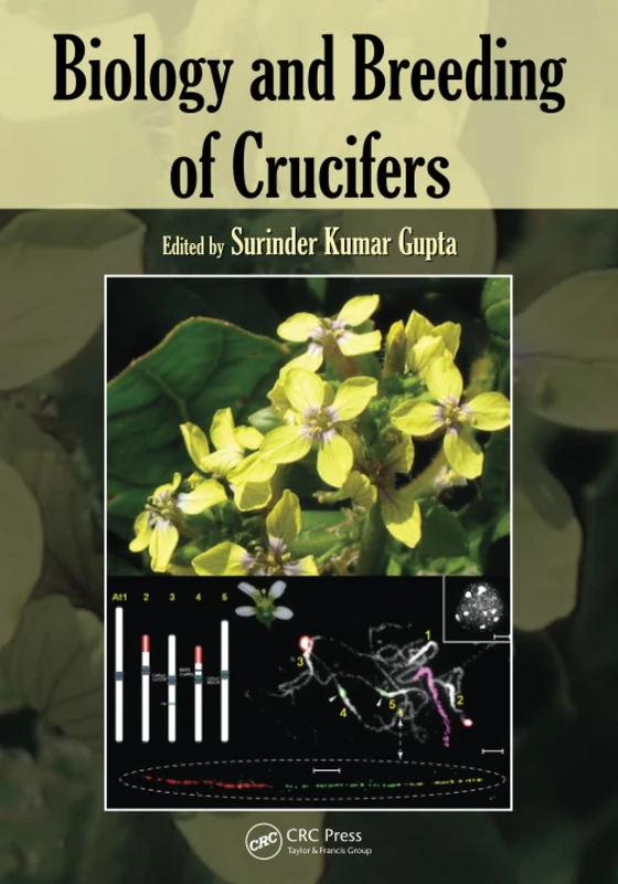 Biology and Breeding of Crucifers