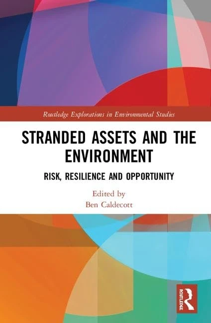 Stranded Assets and the Environment: Risk, Resilience and Opportunity (Routledge Explorations in Environmental Studies)