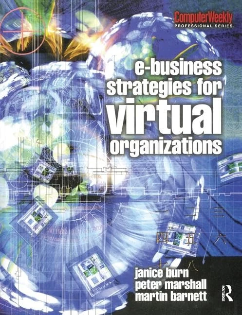 e-Business Strategies for Virtual Organizations (Computer Weekly Professional Series)