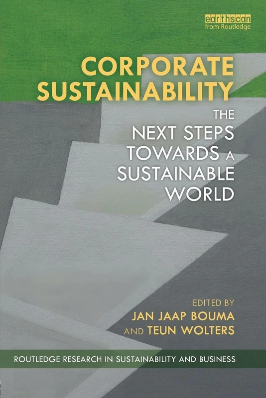 Corporate Sustainability: The Next Steps Towards a Sustainable World (Routledge Research in Sustainability and Business)