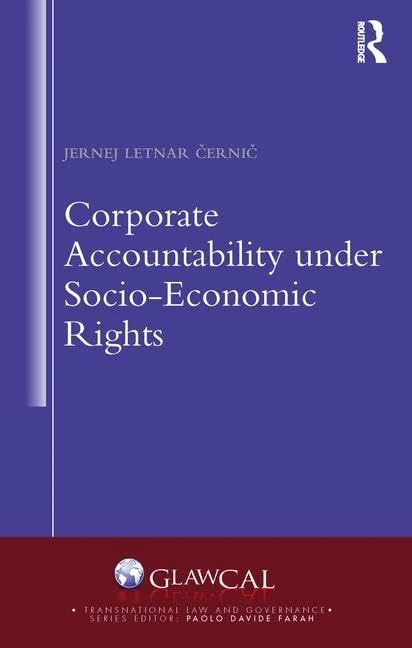 Corporate Accountability under Socio-Economic Rights (Transnational Law and Governance)