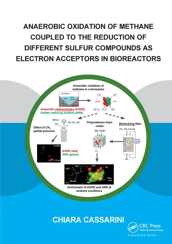 Anaerobic Oxidation of Methane Coupled to the Reduction of Different Sulfur Compounds as Electron Acceptors in Bioreactors (IHE Delft PhD Thesis Series)