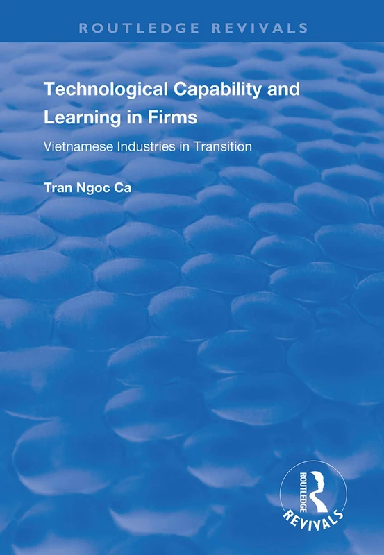 Technological Capability and Learning in Firms: Vietnamese Industries in Transition (Routledge Revivals)