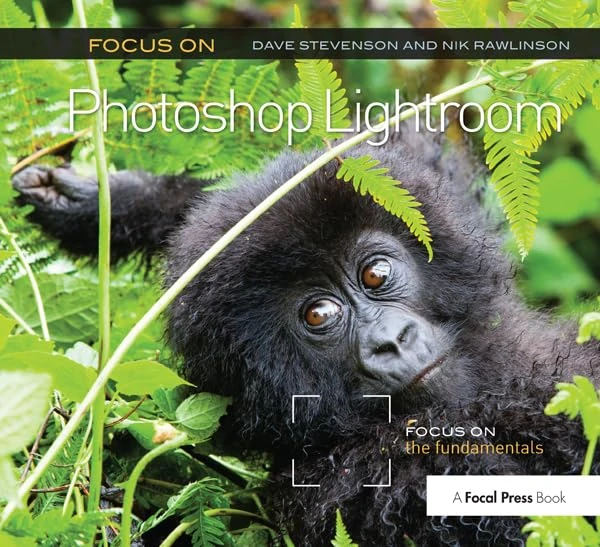 Routledge Focus On Photoshop Lightroom - Photography Guide