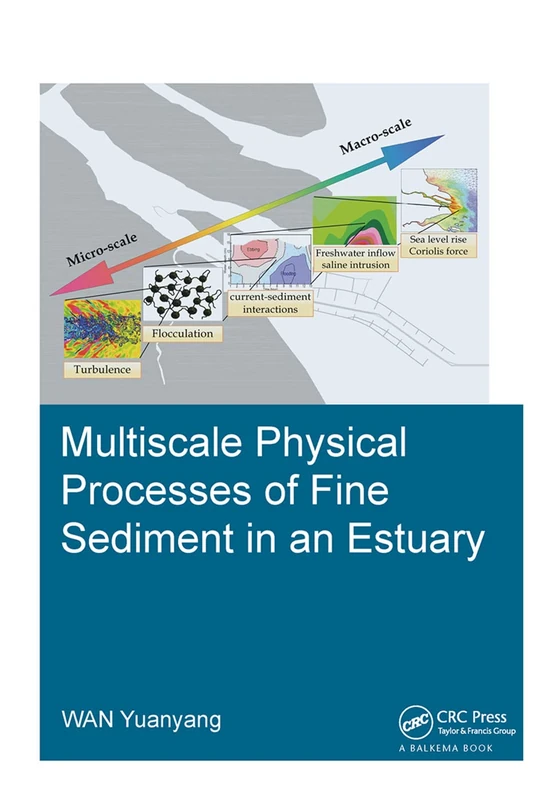 Multiscale Physical Processes of Fine Sediment in an Estuary: Dissertation (IHE Delft PhD Thesis Series)