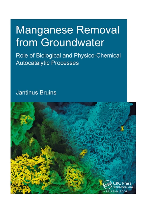 Manganese Removal from Groundwater: Role of Biological and Physico-Chemical Autocatalytic Processes (IHE Delft PhD Thesis Series)