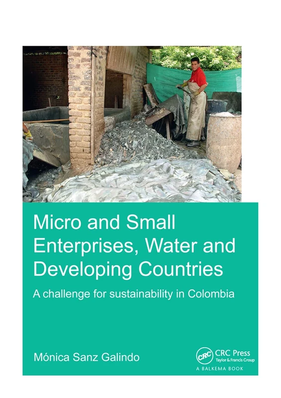 Micro and Small Enterprises, Water and Developing Countries: A Challenge for Sustainability in Colombia (IHE Delft PhD Thesis Series)