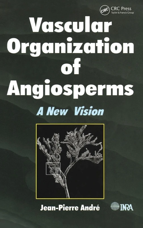 Vascular Organization of Angiosperms: A New Vision