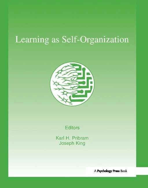 Learning As Self-organization (INNS Series of Texts, Monographs, and Proceedings Series)