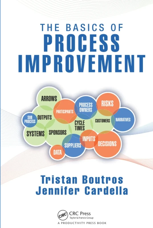 The Basics of Process Improvement