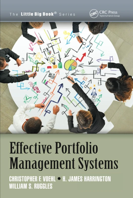 Effective Portfolio Management Systems (The Little Big Book Series)