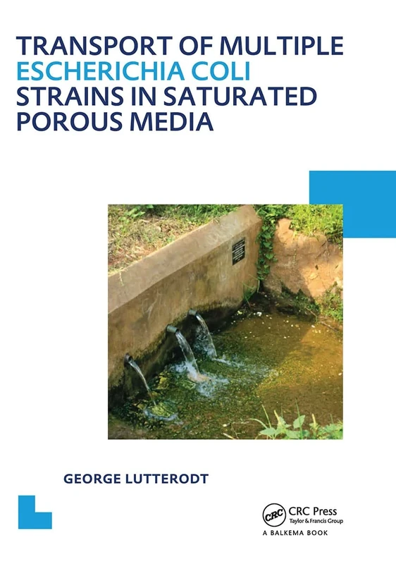 Transport of multiple Escherichia coli strains in saturated porous media: UNESCO-IHE PhD Thesis - Image 1