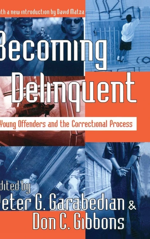 Becoming Delinquent: Young Offenders and the Correctional Process