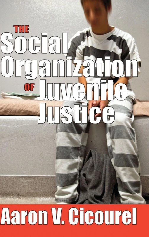 Routledge - The Social Organization of Juvenile Justice