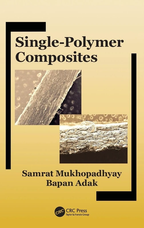 Single-Polymer Composites