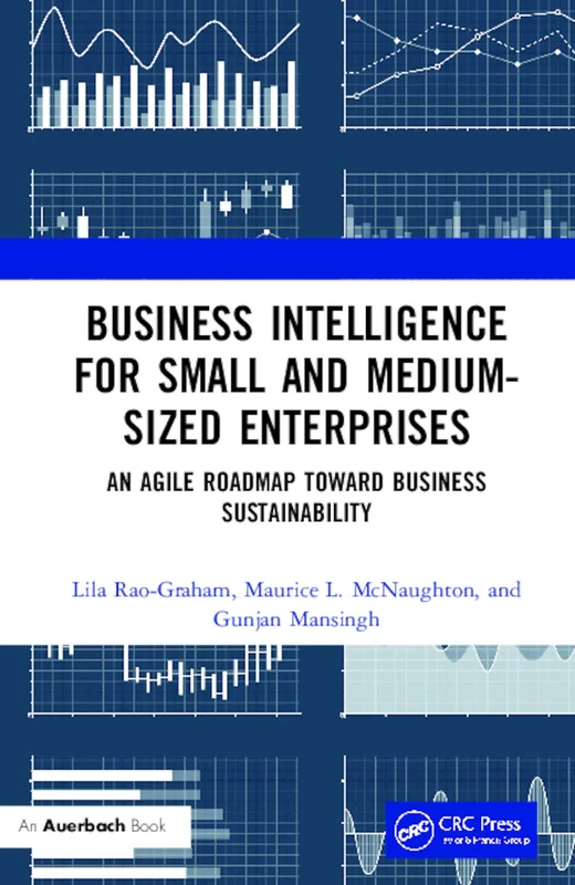 Business Intelligence for Small and Medium-Sized Enterprises: An Agile Roadmap toward Business Sustainability