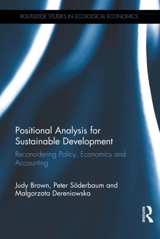Positional Analysis for Sustainable Development: Reconsidering Policy, Economics and Accounting (Routledge Studies in Ecological Economics)