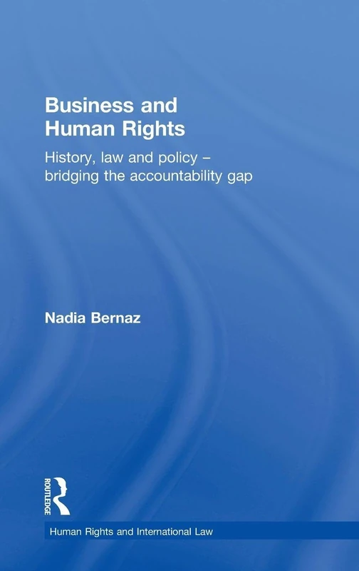 Business and Human Rights: History, Law and Policy - Bridging the Accountability Gap (Human Rights and International Law)