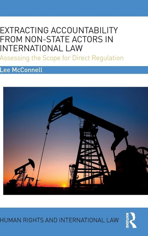 Extracting Accountability from Non-State Actors in International Law: Assessing the Scope for Direct Regulation (Human Rights and International Law)