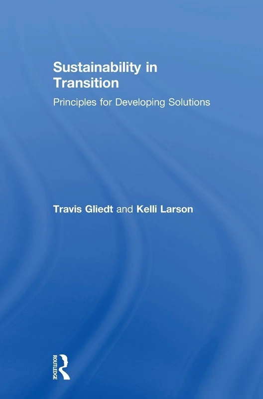 Sustainability in Transition: Principles for Developing Solutions