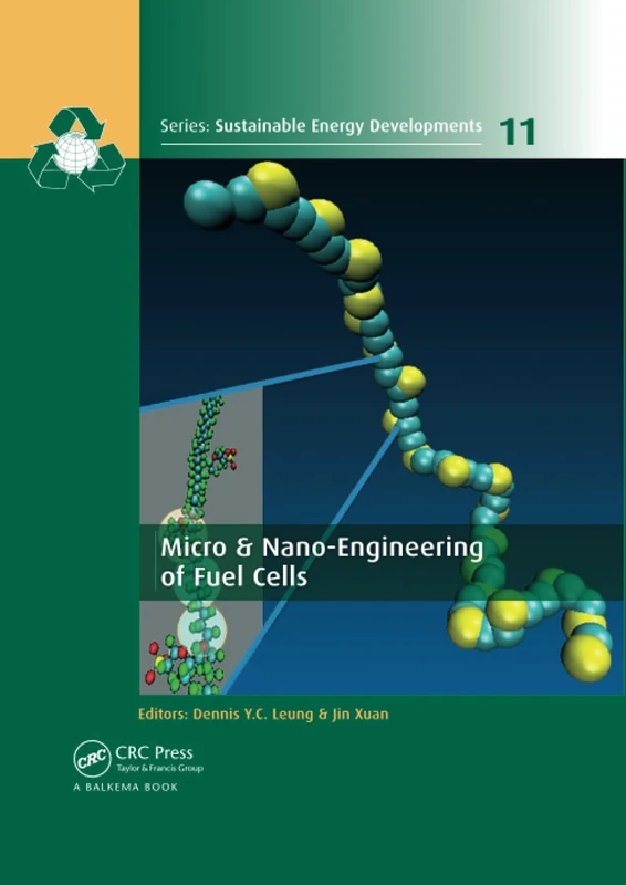 Micro & Nano-Engineering of Fuel Cells (Sustainable Energy Developments)