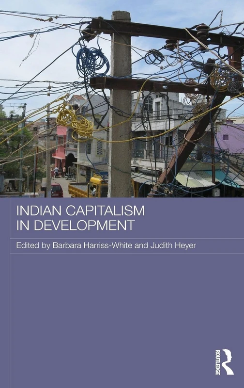 Indian Capitalism in Development (Routledge Contemporary South Asia Series)
