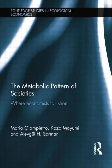 The Metabolic Pattern of Societies: Where Economists Fall Short (Routledge Studies in Ecological Economics)